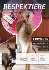 Portfolio - Arbeitsbeispiel Layout- und Grafikdesign