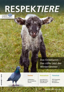Portfolio - Arbeitsbeispiel Layout- und Grafikdesign
